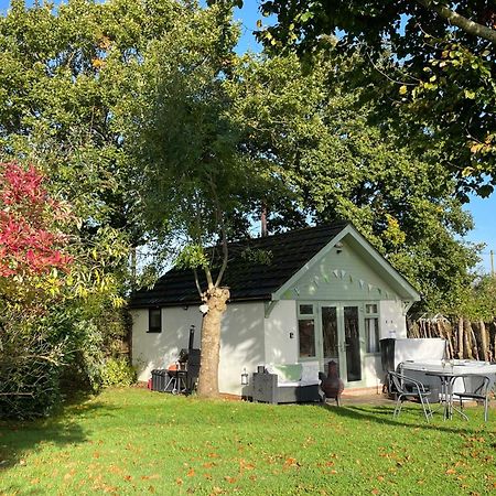 Pheasant Lodge Wimborne Minster Esterno foto