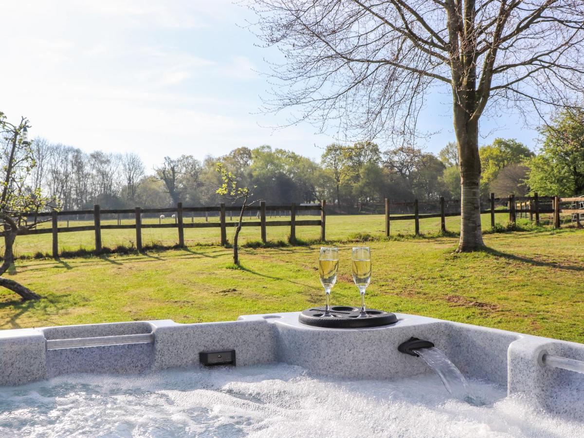 Pheasant Lodge Wimborne Minster Esterno foto