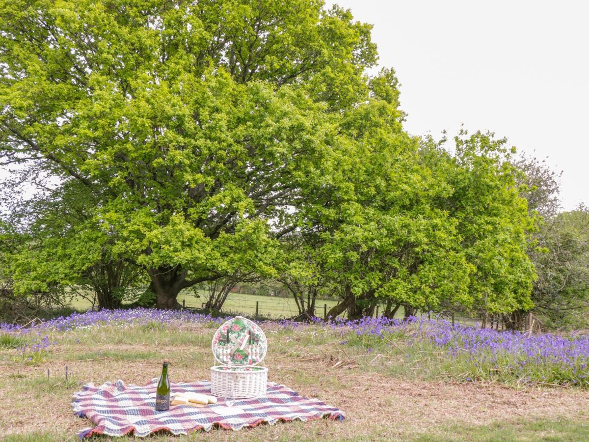 Pheasant Lodge Wimborne Minster Esterno foto