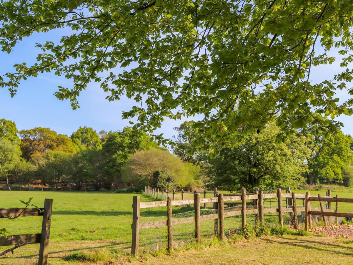 Pheasant Lodge Wimborne Minster Esterno foto
