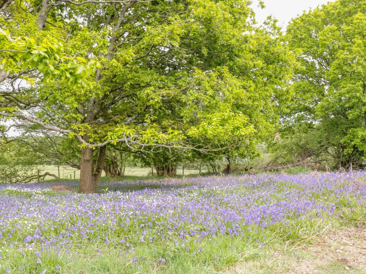 Pheasant Lodge Wimborne Minster Esterno foto