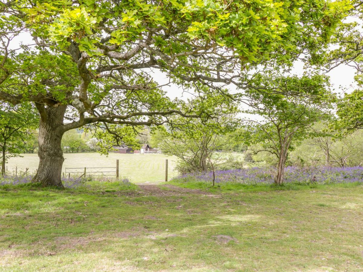 Pheasant Lodge Wimborne Minster Esterno foto